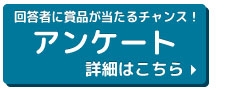 https://jp.surveymonkey.com/r/ANJ2015_Q
